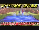 ポケモン剣盾　にんじんどっちに植えるのがオススメ！？　＃５　【冠の雪原】