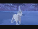 【ポケモン剣盾DLC第二弾】配信日からカンムリ図鑑コンプリートするまで【実況】part4