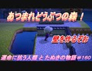 【あつ森】前人未島へようこそ！#160【あつまれどうぶつの森】
