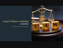 Expert Witness Training