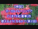 【『紅蓮華』成長日記Part2】ボーカルトレーニングを受けて歌い方は変わるのか？（レッスン2回目）