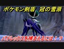 ポケモン剣盾　バドレックスを捕まえるには！？豊穣の王伝説攻略　＃７　【冠の雪原】