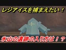 ポケモン剣盾　レジアイスを捕まえたい！氷山の遺跡の入り方は！？氷山の遺跡の場所は？　＃９　【冠の雪原】