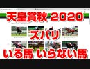 【競馬に人生】天皇賞秋 2020 ズバリ いる馬 いらない馬【 クロノジェネシス アーモンドアイ フィエールマン ブラストワンピース ダノンキングリー キセキ ウインブライト ダノンプレミアム】
