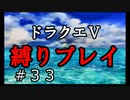 【アルカリ性】グランバニアに向けて出発！26周目の縛りプレイ！【ドラクエ5シーズン1 Part33】