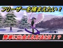 ポケモン剣盾　フリーザーに簡単に出会える方法とは！？とりポケモン伝説攻略　＃１５　【冠の雪原】
