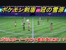 ポケモン剣盾　ガラルスタートーナメント参加するには！？　＃１７　【冠の雪原】