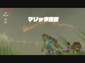 【実況】ハイラルソード　その35