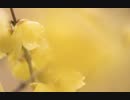 風に聞け201025　Wind Riders - Asher Fulero