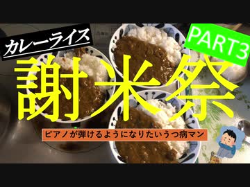 【謝米祭】part３ ピアノが弾けるようになりたいうつ病マンが作る「カレーライス」