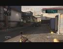 【CoD:MW】グラブルからちょっと逃げてCODするぜ！【TDM】