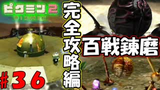 【ピクミン2】最後に最大のプレミ【実況プレイ】３６日目