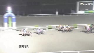 2020年10月25日高知競馬9R そら豆麦酒協賛 そら豆指数一周年特別(A・B混合) キングラディウス