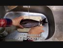 古文で学ぶ、魚のさばき方【イサキ】【古文にする】