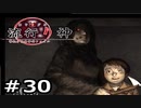 情念の塊から名付けられた青年の事件簿【流行り神】part30