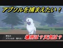 ポケモン剣盾　アブソルを捕まえる方法！オススメの場所は？天気は？ポケモン図鑑コンプへの道！　【ポケモンソード・シールド】