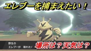 ポケモン剣盾　エレブーを捕まえる方法！オススメの場所は？天気は？ポケモン図鑑コンプへの道！　【ポケモンソード・シールド】