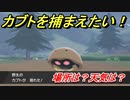 ポケモン剣盾　カブトを捕まえる方法！オススメの場所は？天気は？ポケモン図鑑コンプへの道！　【ポケモンソード・シールド】