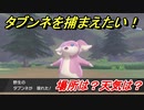 ポケモン剣盾　タブンネを捕まえる方法！オススメの場所は？天気は？ポケモン図鑑コンプへの道！　【ポケモンソード・シールド】