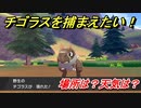 ポケモン剣盾　チゴラスを捕まえる方法！オススメの場所は？天気は？ポケモン図鑑コンプへの道！　【ポケモンソード・シールド】
