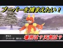 ポケモン剣盾　ブーバーを捕まえる方法！オススメの場所は？天気は？ポケモン図鑑コンプへの道！　【ポケモンソード・シールド】