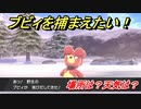 ポケモン剣盾　ブビィを捕まえる方法！オススメの場所は？天気は？ポケモン図鑑コンプへの道！　【ポケモンソード・シールド】