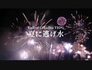 狐と猫の「夏に逃げ水」Part1