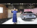 【VR有】大阪モーターショー2019キャンギャル Osaka Motor Show 2019 CamGal #34