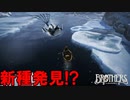 お次は船でえんやこら【Brothers】#４