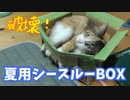 夏用シースルーBOXを破壊された。