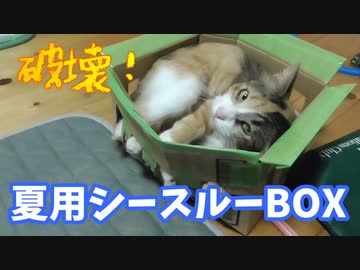 夏用シースルーBOXを破壊された。