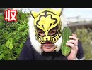 たまかけの飯動画