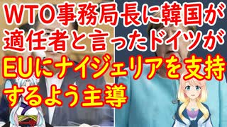 【韓国の反応】文大統領がドイツに韓国支持を要請するも、ドイツはナイジェリアを支持するようにEUを主導していた【世界の〇〇にゅーす】