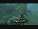 【実況】ハイラルソード　はじめてのしれんノーカット版