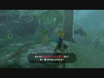 【実況】ハイラルソード　はじめてのしれんノーカット版