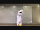 【初投稿】ぐーぐー を踊ってみたver.のぶめ