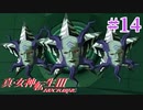RE出るけど無印版を初見プレイ【真・女神転生ⅢNOCTURNE】　＃14