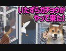Untitled Goose Game ♯6 | ガ チ ョ ウ は 悪 く な い