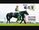 【中央競馬】プロ馬券師よっさんとその仲間たちの第81回 菊花賞（GⅠ）