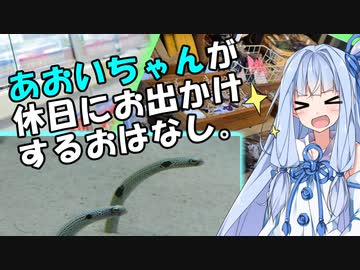 【手抜き祭】あおいちゃんが休日におでかけするお話し【VOICEROID劇場】
