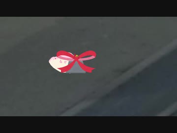 【ｾ虐】災害のような