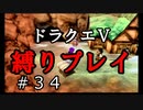 【アルカリ性】事件発生、処罰等は後ほど考えます。26周目の縛りプレイ！【ドラクエ5シーズン1 Part34】