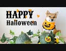 ももっぷ流ハロウィン♪柴犬のかぼちゃオバケがお菓子をおねだり