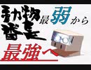 百獣の王におれはなる【動物番長】実況　其の一