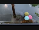 bias 16th single 永遠に続かない関係へ "not for good" Music Video