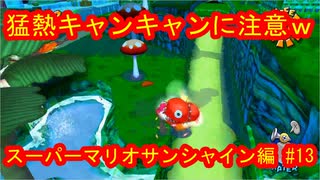 スーパーマリオ３Ｄコレクション　スーパーマリオサンシャイン編　＃13　【ダラダラ実況】