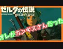 【ゼルダの伝説BotW】「ウツシエの記憶」を巡る part1【実況】