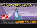 ポケモン剣盾　コバルオンの捕まえ方とは！？三闘足跡イベント攻略！伝説ポケモンを捕まえよう！　【ポケモンソード・シールド】