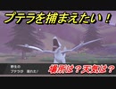ポケモン剣盾　プテラを捕まえる方法！オススメの場所は？天気は？ポケモン図鑑コンプへの道！　【ポケモンソード・シールド】