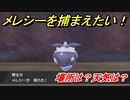 ポケモン剣盾　メレシーを捕まえる方法！オススメの場所は？天気は？ポケモン図鑑コンプへの道！　【ポケモンソード・シールド】